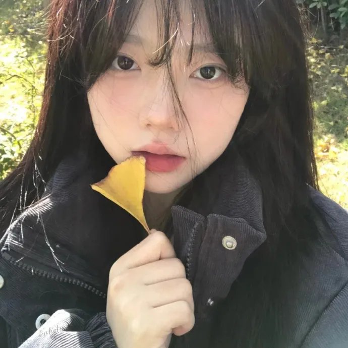 溏心风暴之家好月圆